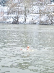 More Winter Dips