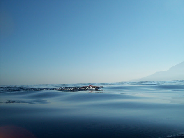 Swimming to Africa: Gibraltar Strait Swim – the longer story