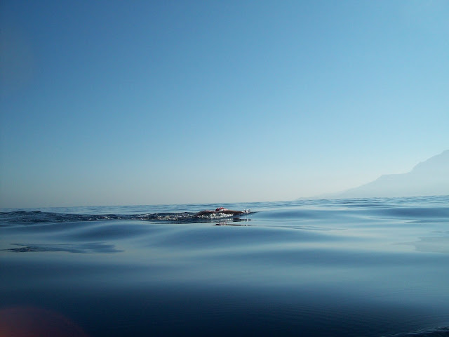 Swimming to Africa: Gibraltar Strait Swim – the longer story